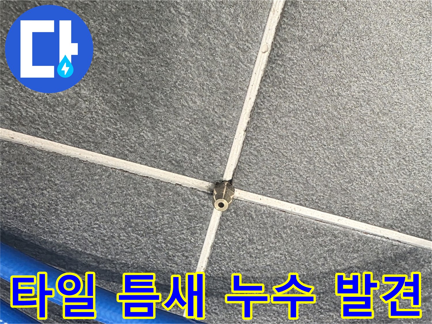 파주시 동패동 운정어반프라임 아파트 누수 - 타일 틈새에서 발생하는 누수를 발견한 모습입니다.
