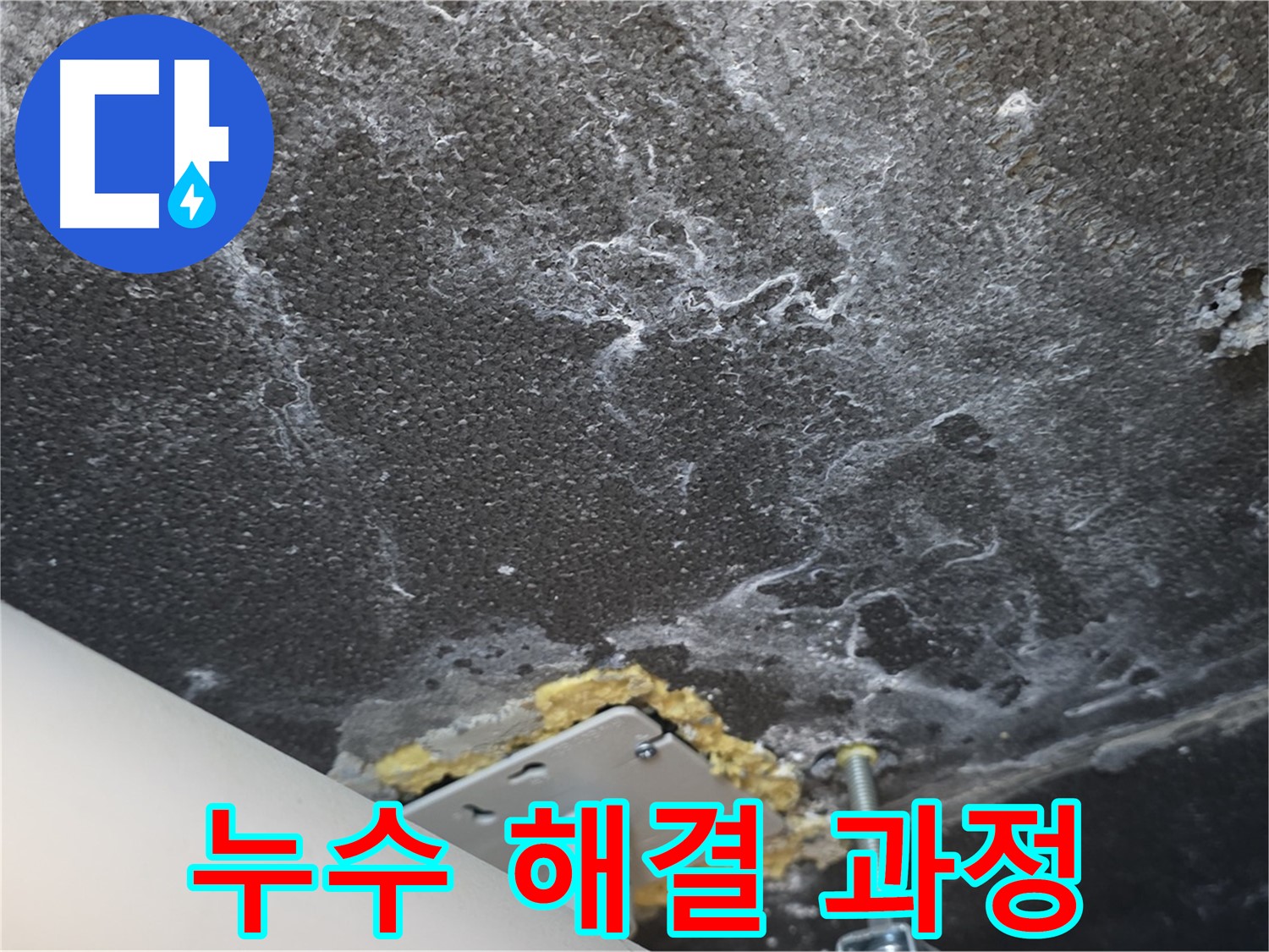 파주시 동패동 천장 누수 문제 해결 과정 상세 기록