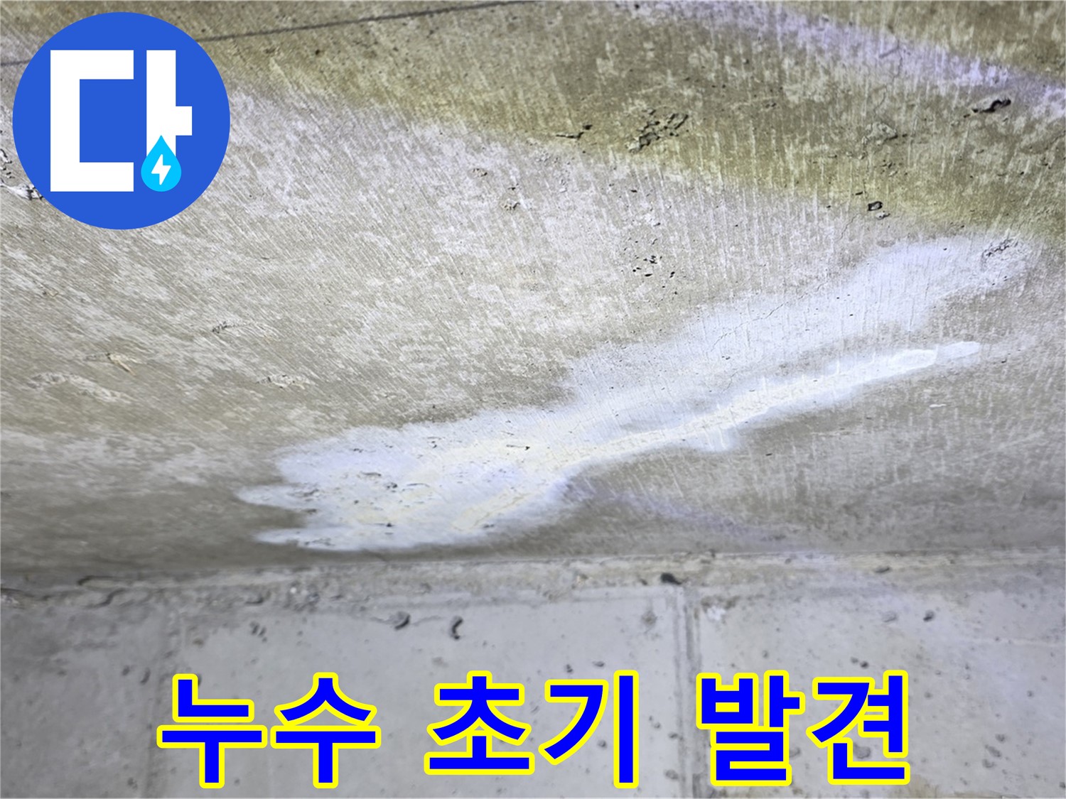 노원구 아파트 누수 - 중계동 현대5차 누수 초기 발견 - 빠른 해결 가능