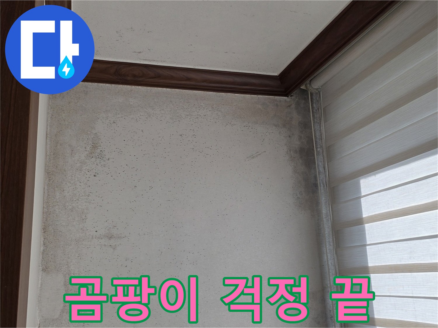 노원구 중계2동 현대5차 곰팡이 누수 - 곰팡이, 이제 걱정 끝 - 완벽 해결