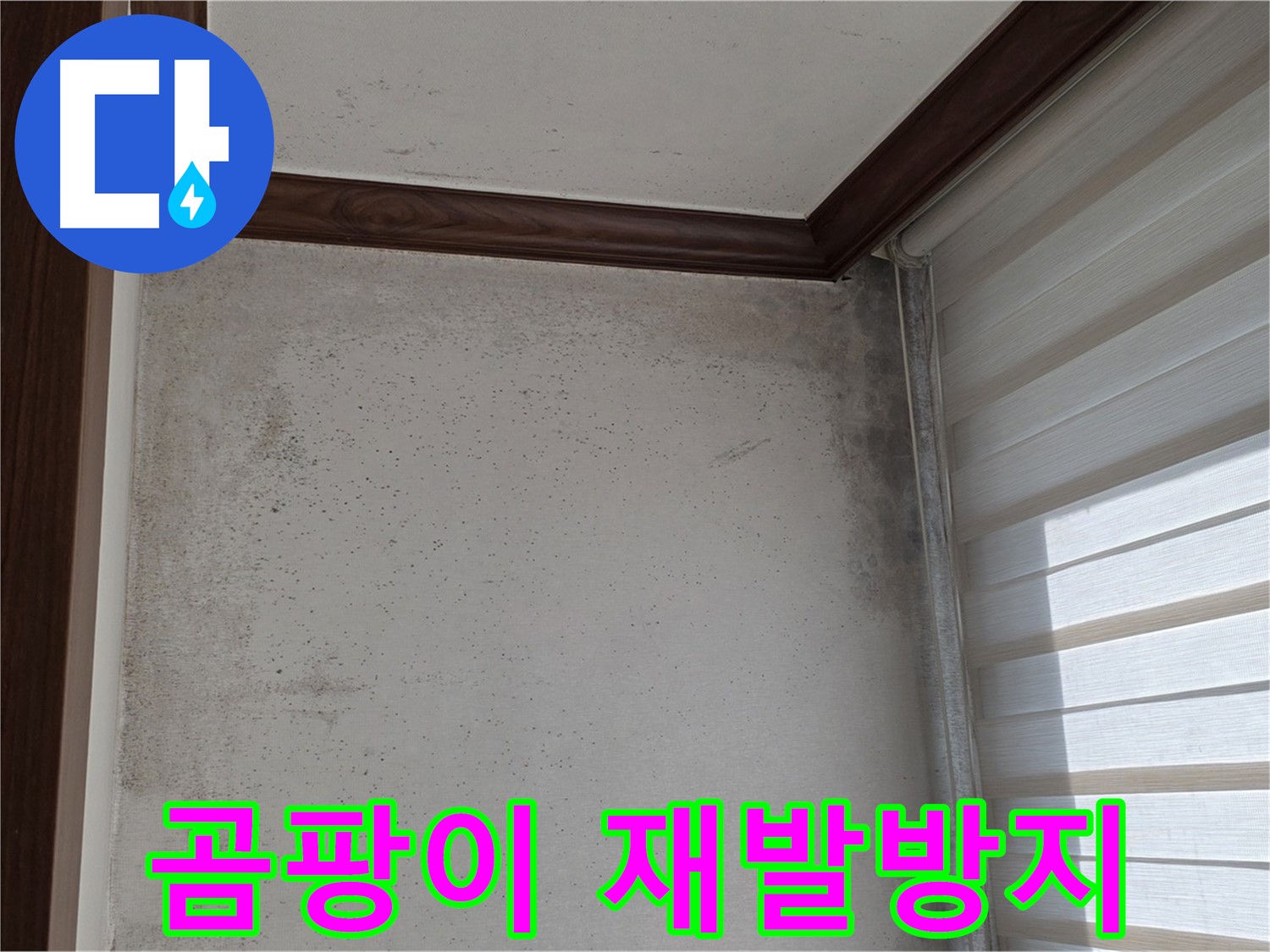 노원구 중계동 곰팡이 누수 - 곰팡이 제거 및 확실한 재발 방지 시공