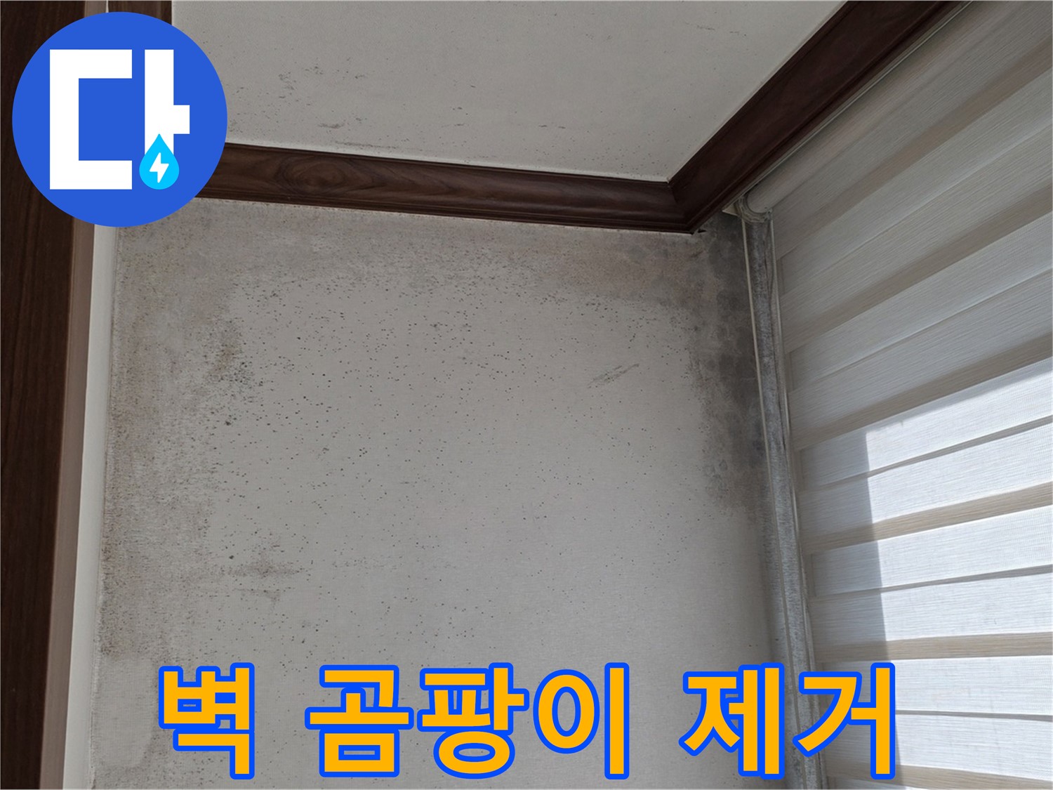 노원구 중계동 벽 곰팡이 - 누수 해결 후 깨끗하게 제거된 곰팡이