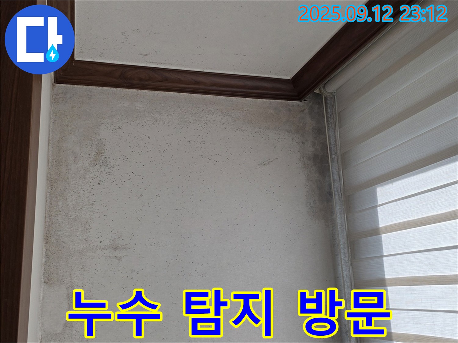 노원구 중계동 현대5차 211동 아파트 누수 현장 - 곰팡이 문제 해결을 위해 누수 탐지 전문가가 방문했습니다.