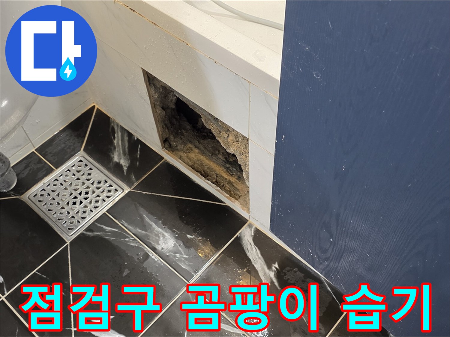노원구 중계동 현대5차 211동 욕실 - 점검구 주변 곰팡이와 습기 문제 확인