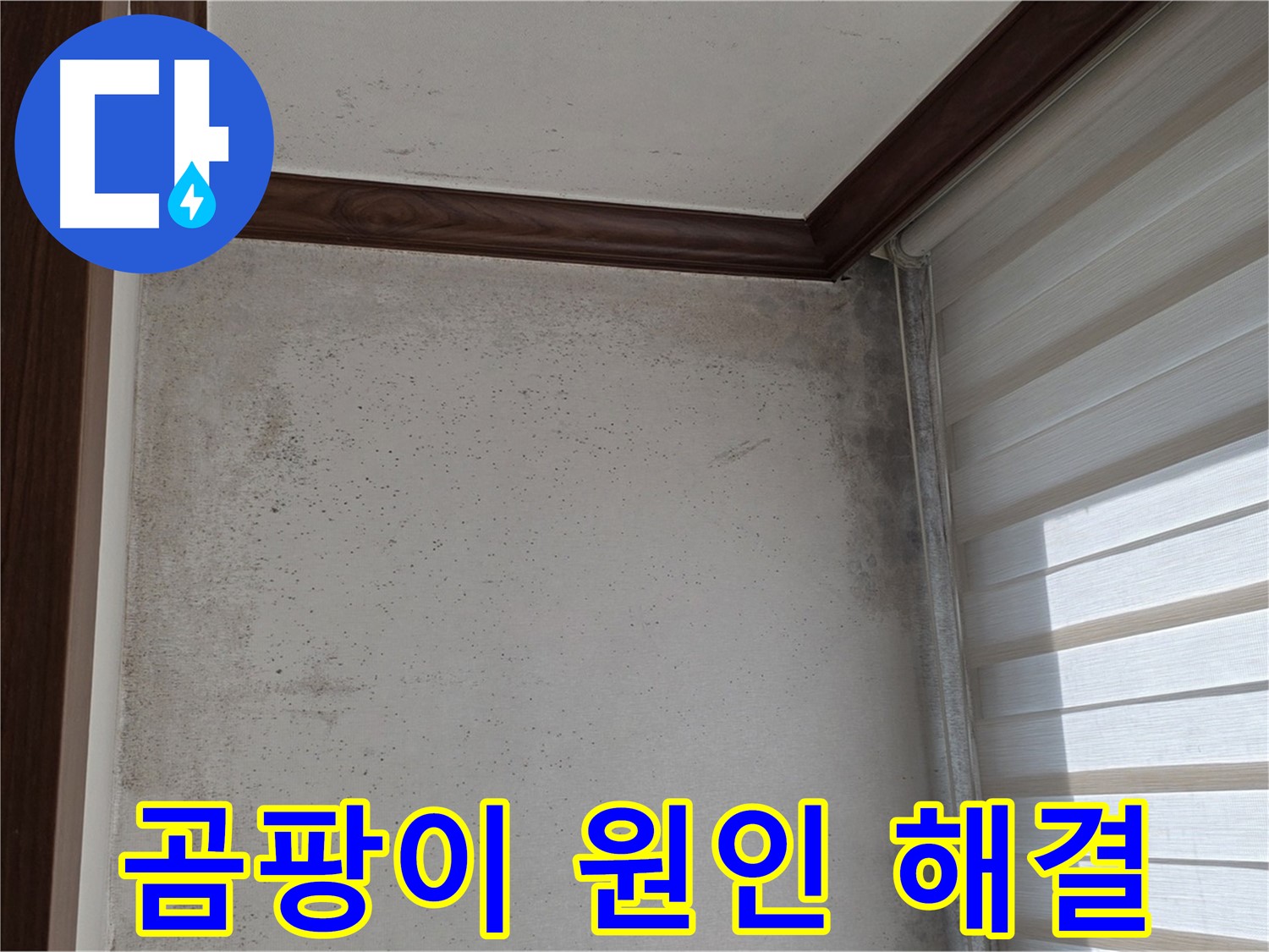 노원구 중계동 현대5차 곰팡이 누수 - 원인부터 해결까지 책임 시공
