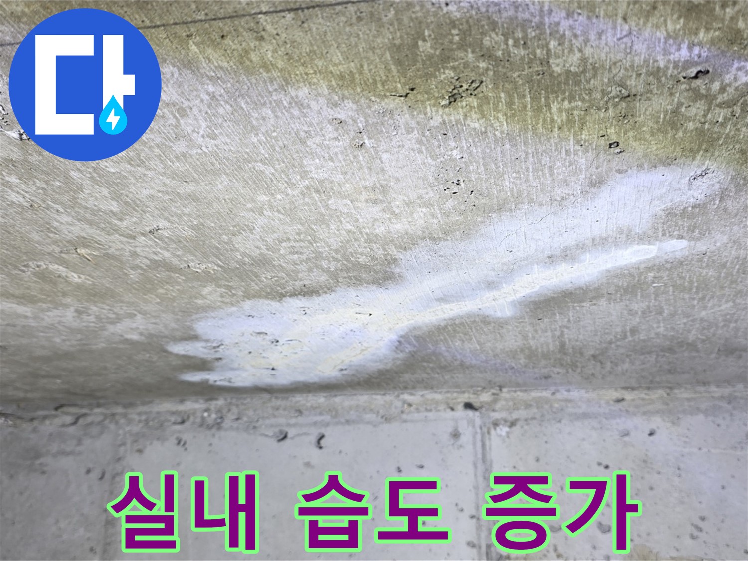 노원구 중계동 현대5차 누수 - 실내 습도 증가 - 쾌적함 저해