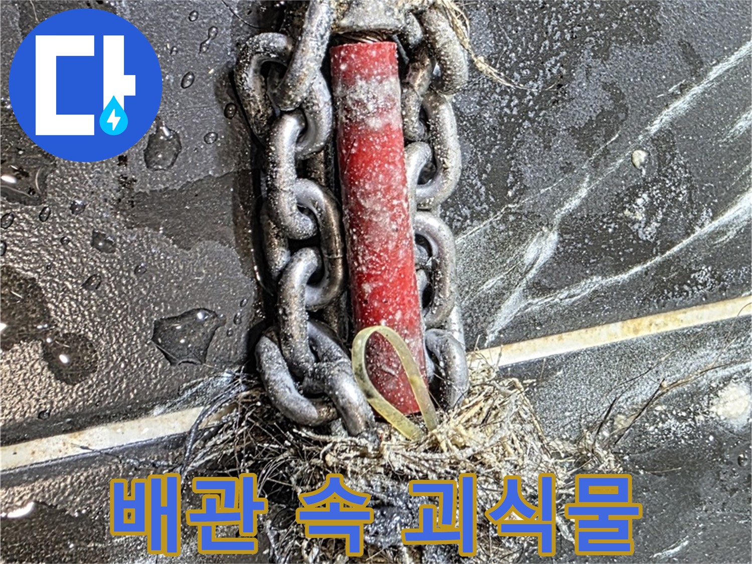 노원구 중계동 현대5차 아파트 누수 - 배관 속 '괴식물'처럼 엉켜있는 이물질 덩어리