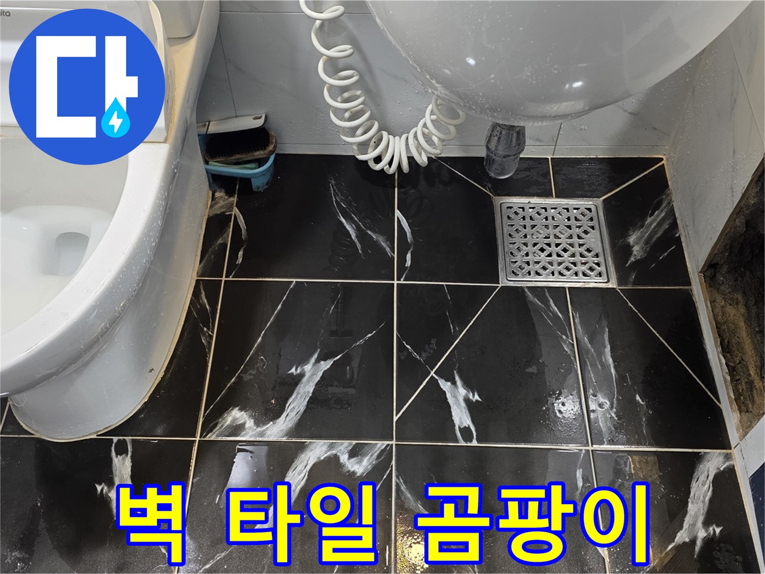 서울 노원구 현대5차 욕실 벽 타일 손실 부위 - 곰팡이 득실
