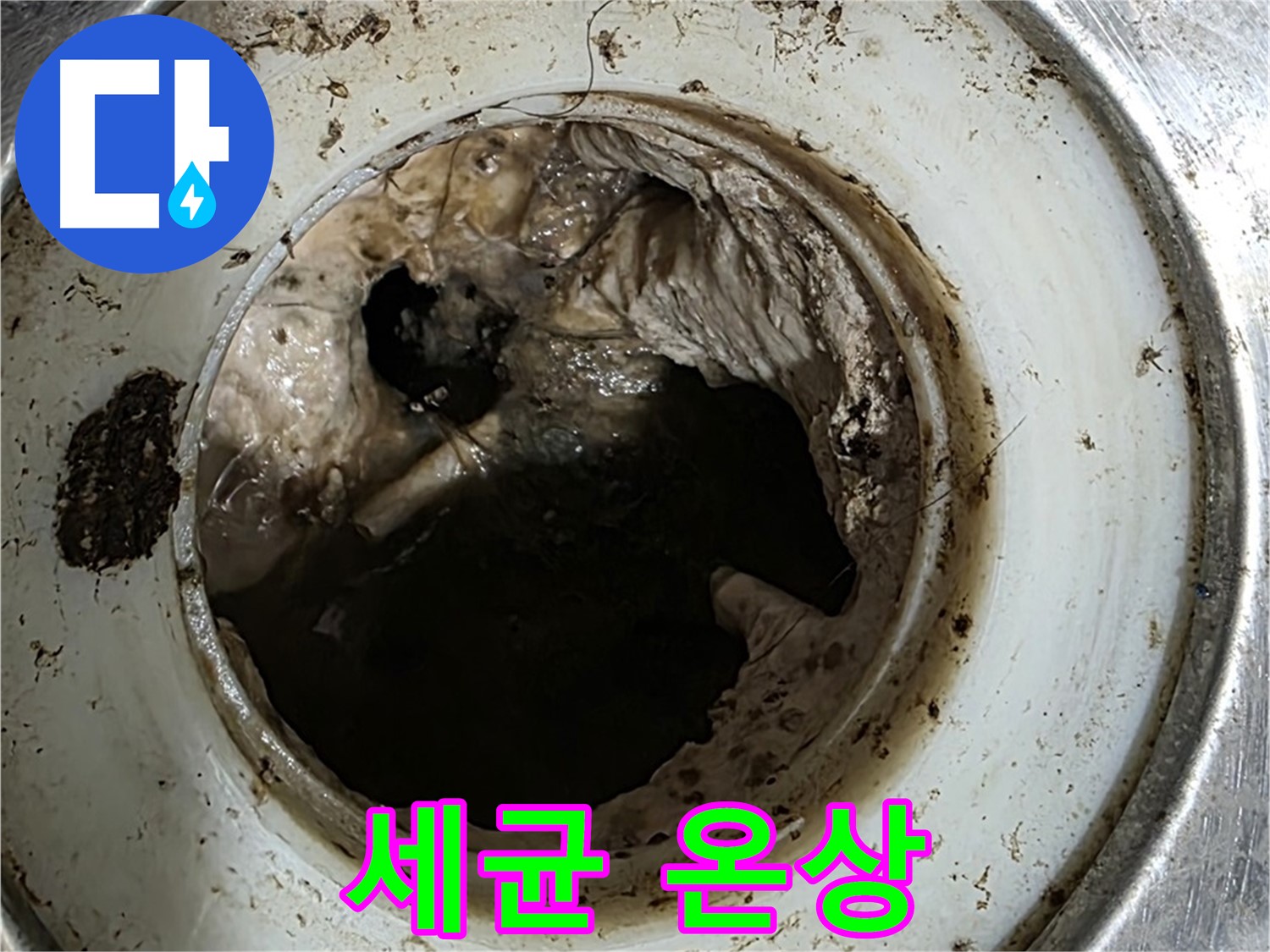 중계동 현대5차 211동 누수 - 배수구 속 찌꺼기 - 악취와 세균의 온상