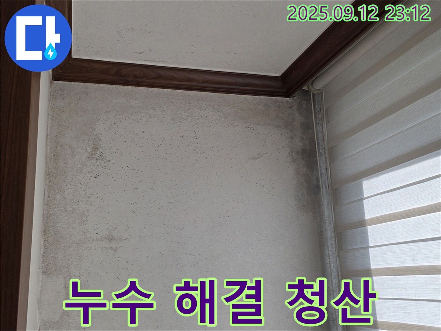 중계동 현대5차 211동 아파트 누수 현장 - 곰팡이와의 질긴 악연, 누수 해결로 깨끗하게 청산합니다!