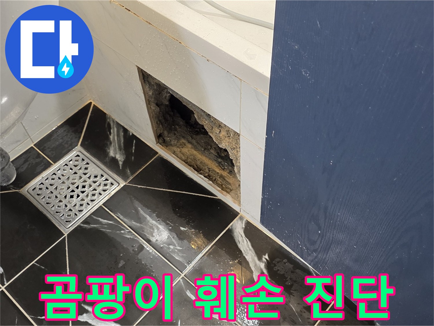 중계동 현대5차 211동 욕실 - 벽면 곰팡이와 훼손, 누수 전문가의 진단