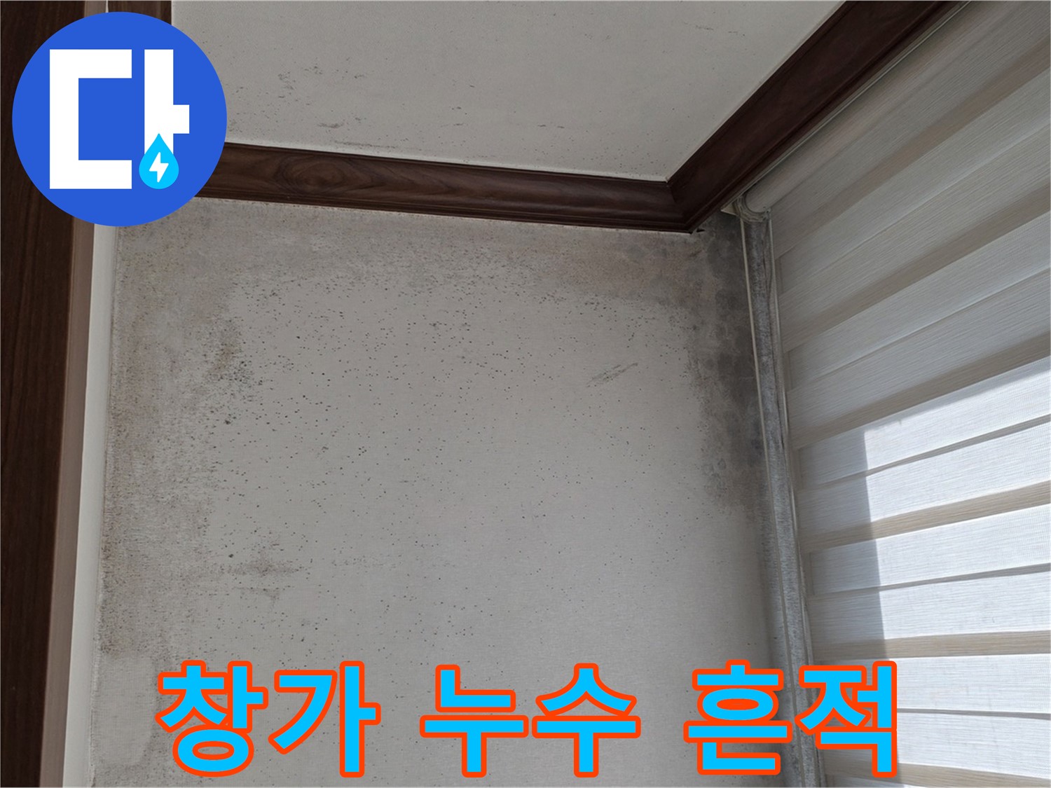 중계동 현대5차 211동 창가 누수 - 곰팡이와 함께 나타난 누수 흔적 정밀 진단