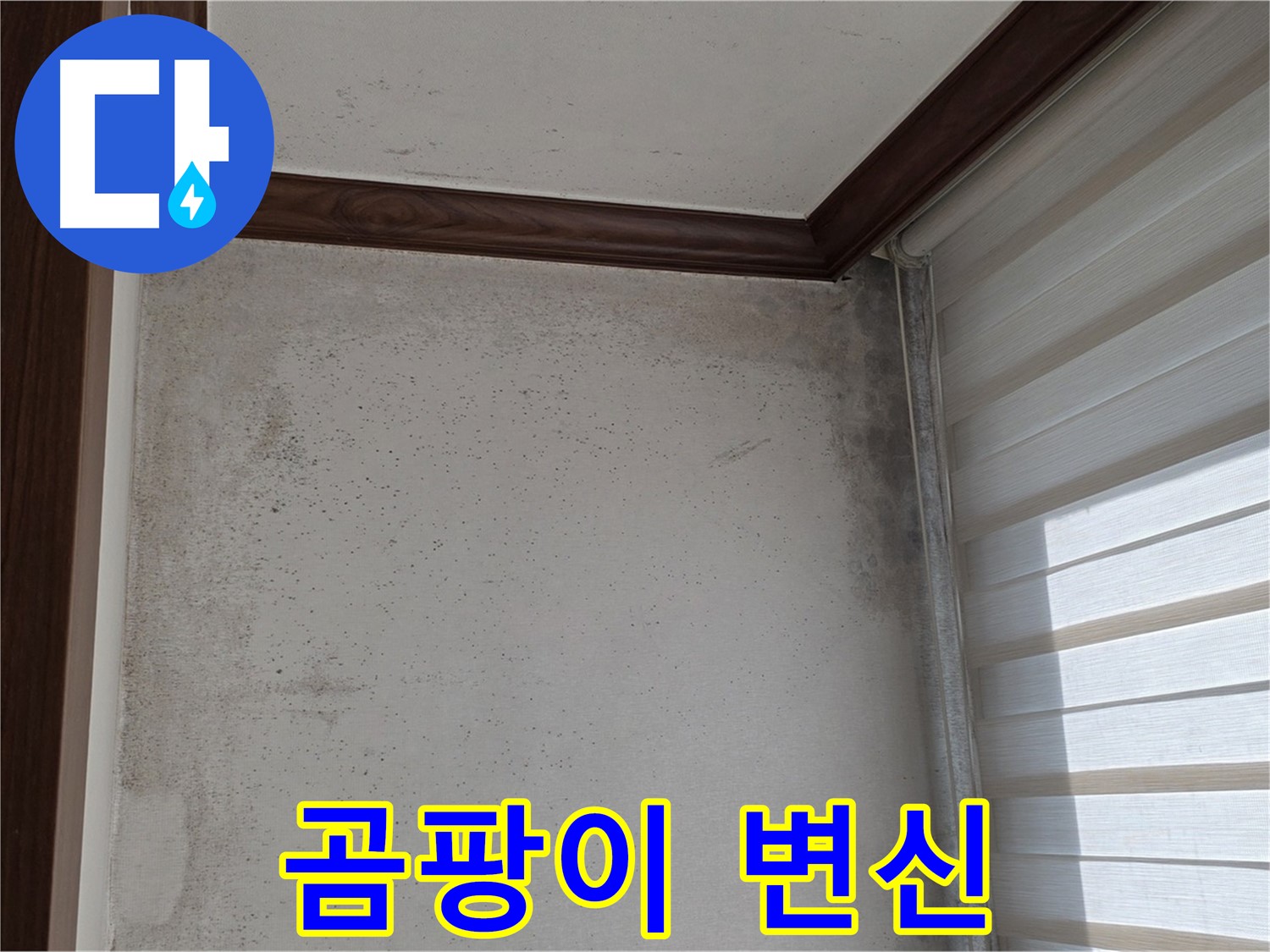 중계동 현대5차 아파트 곰팡이 누수 - 곰팡이 없는 깨끗한 집으로 변신 완료