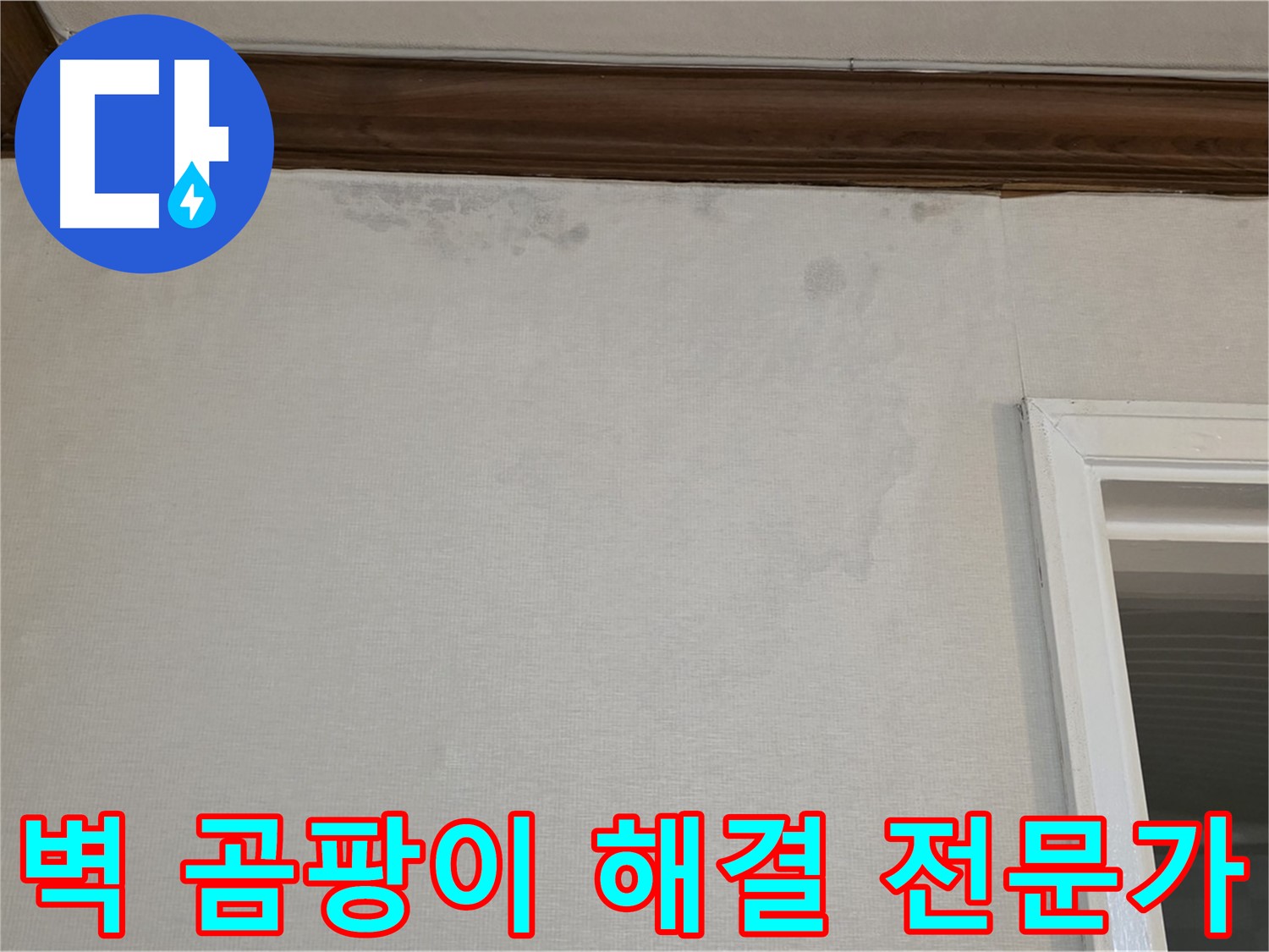 중계동 현대5차 아파트 벽 모서리 곰팡이 - 누수 문제 해결 전문가