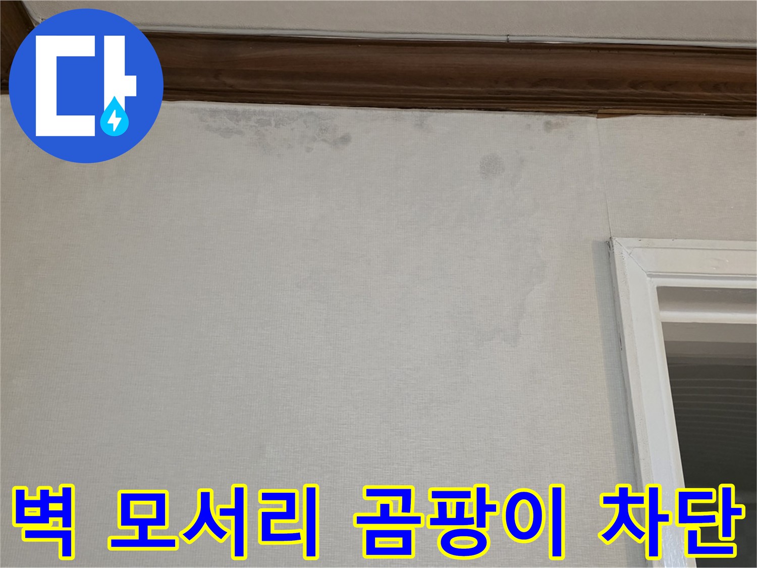 중계동 현대5차 아파트 벽 모서리 곰팡이 - 완벽한 누수 해결 및 곰팡이 차단