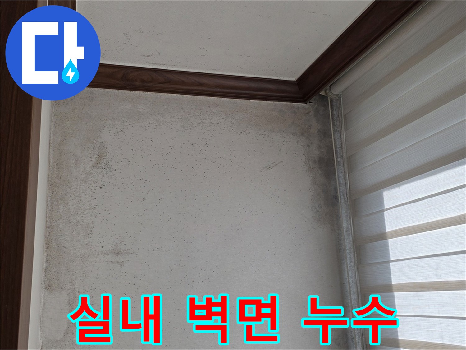 중계동 현대5차 아파트 실내 벽면 누수 - 누수 원인 진단 및 해결 과정 상세 공개