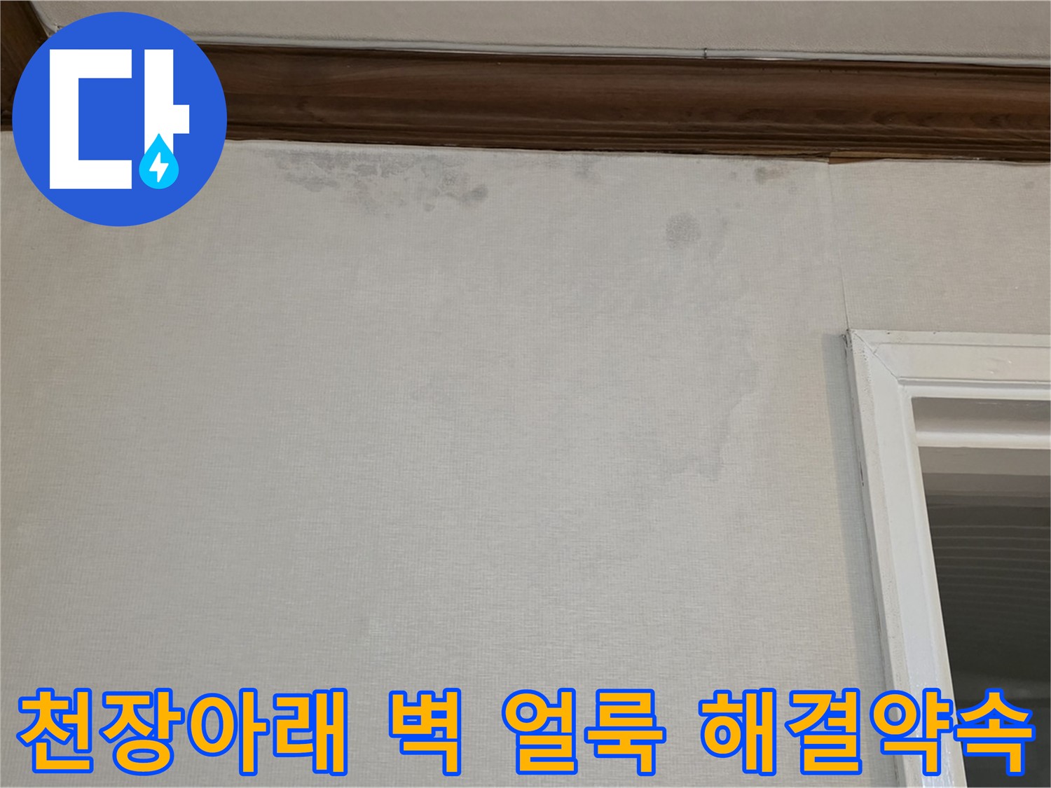 중계동 현대5차 아파트 천장아래 벽 얼룩 - 완벽한 누수 해결 약속