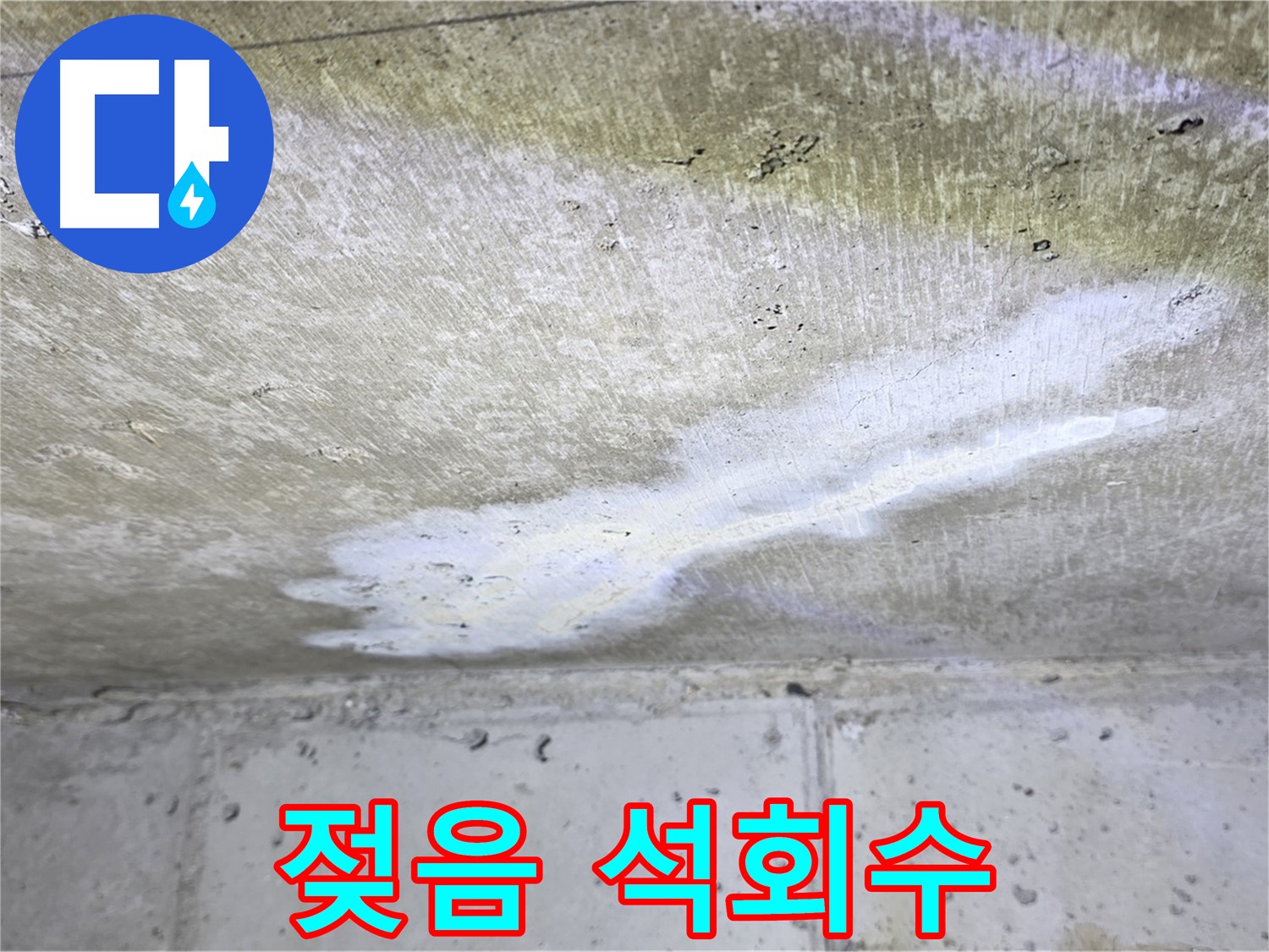 현대5차 211동 천장 누수 - 젖음과 석회수 흔적 - 복합 누수 의심