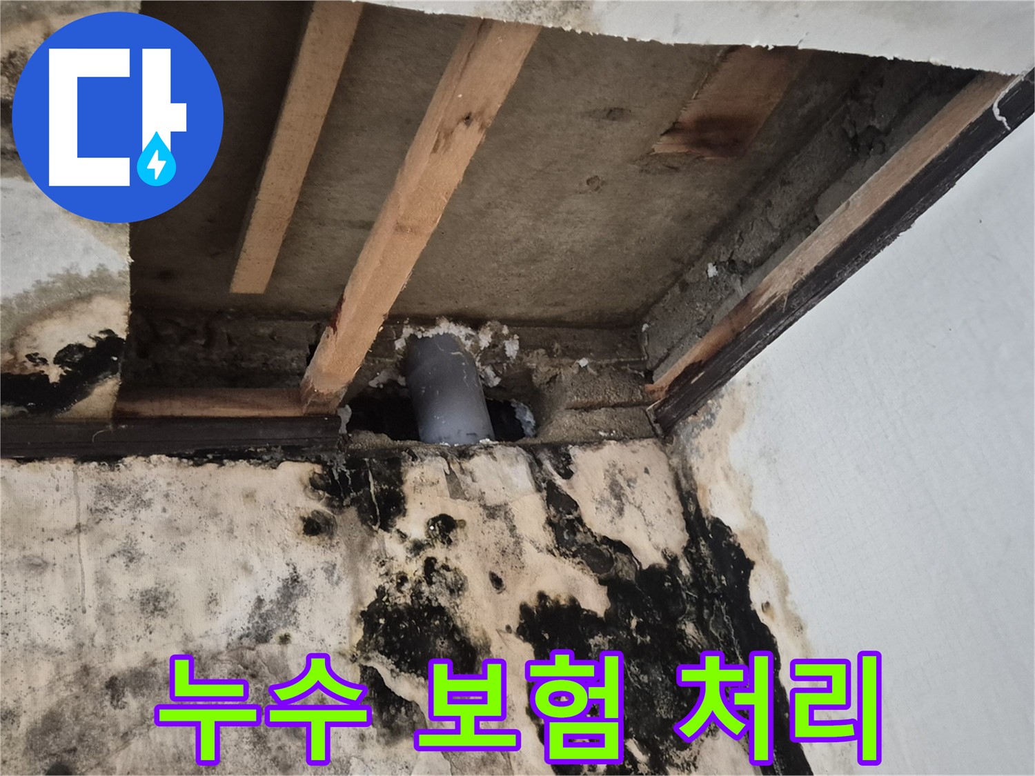 누수 보험 처리 대행 - 복잡한 절차 간편하게
