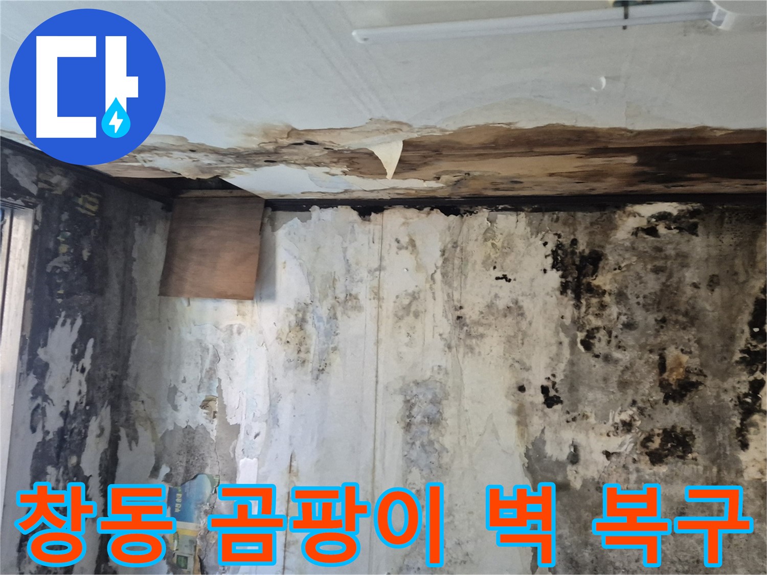 도봉구 창동 주택의 곰팡이 핀 벽면 - 누수 해결과 함께 완벽하게 복구된 과정을 보여줍니다.