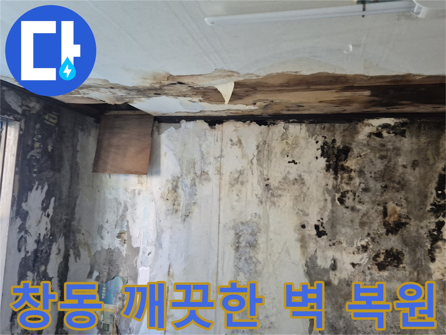 창동 주택의 곰팡이 핀 벽면 - 누수 해결과 함께 깨끗한 벽으로 되돌아온 모습입니다.