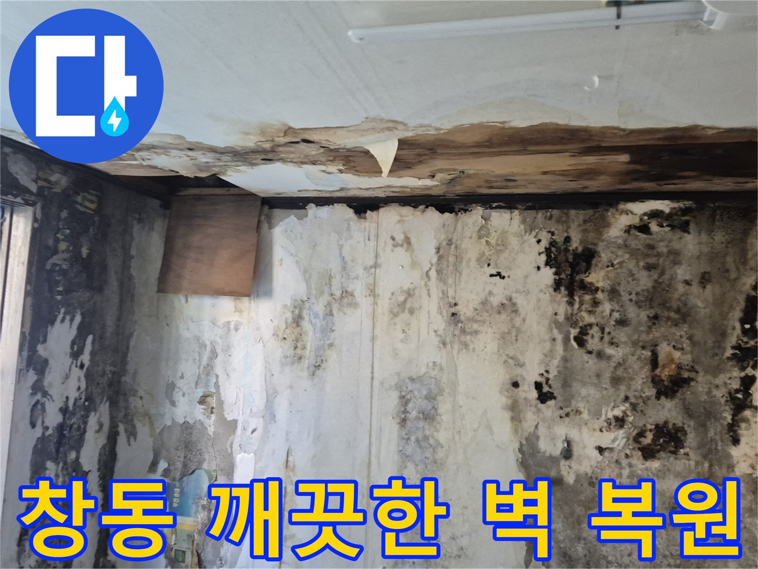 창동 주택의 곰팡이 핀 벽면 - 누수 해결과 함께 깨끗한 벽으로 되돌아온 모습입니다.