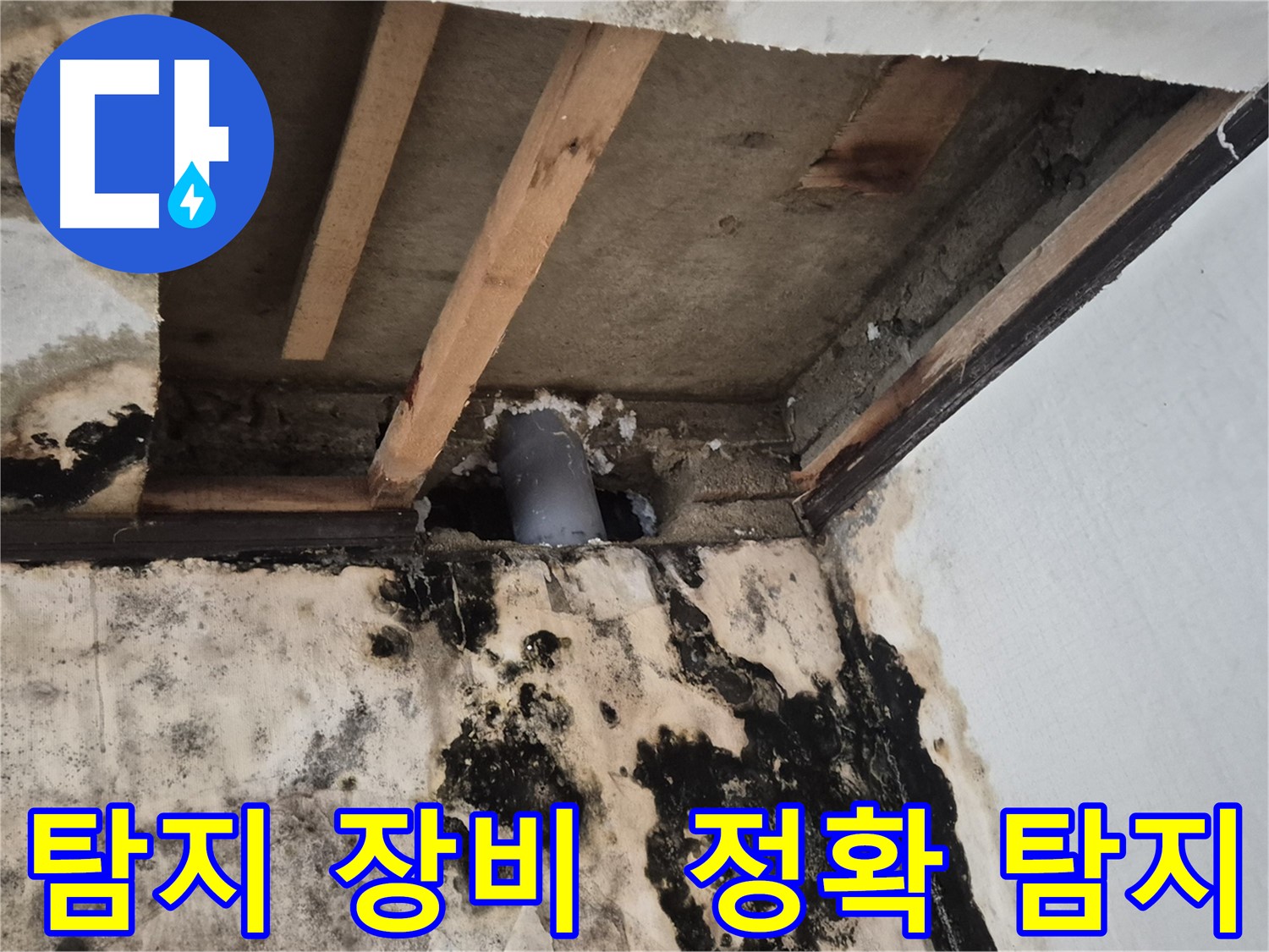 최첨단 누수 탐지 장비 - 정확한 누수 지점 탐색