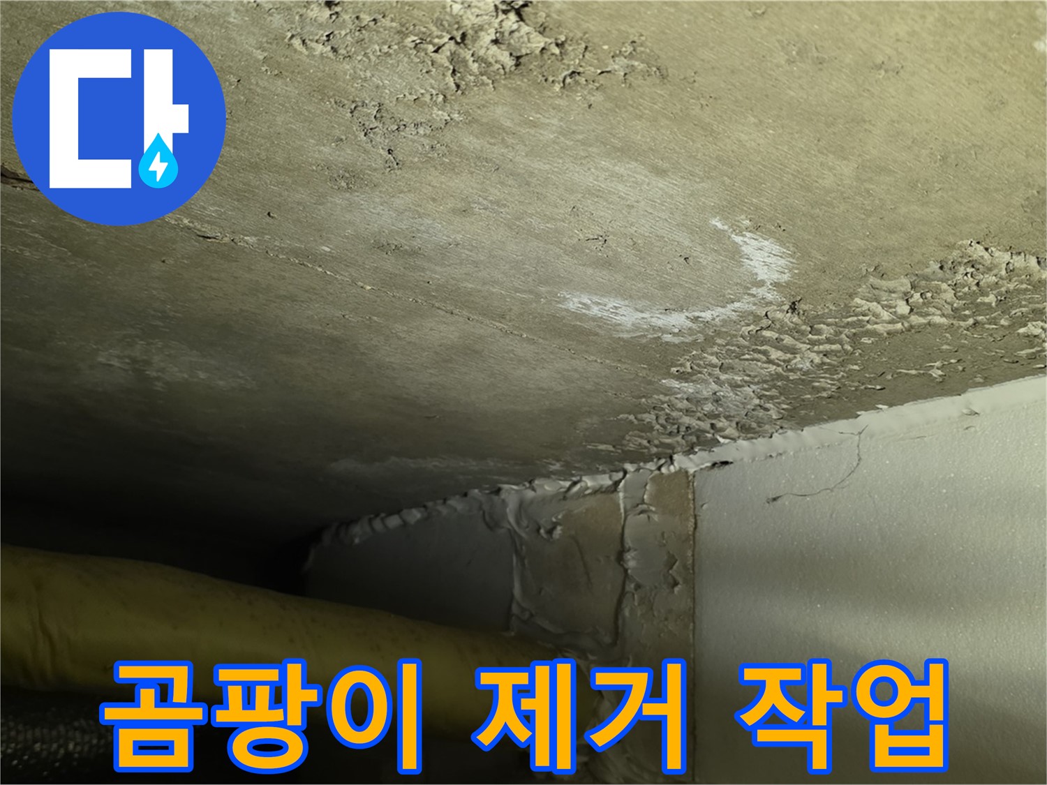 곰팡이 제거 작업 - 쾌적한 환경 - 건강 보호