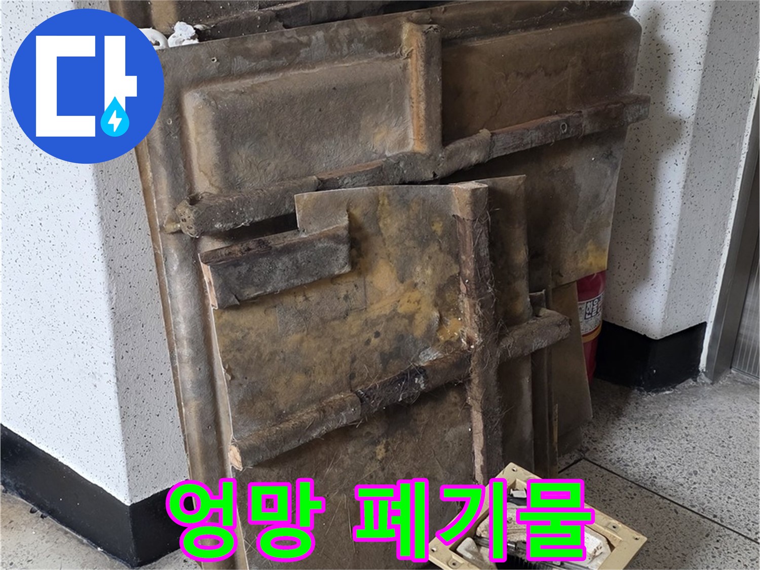 곰팡이와 누수로 엉망이 된 조명