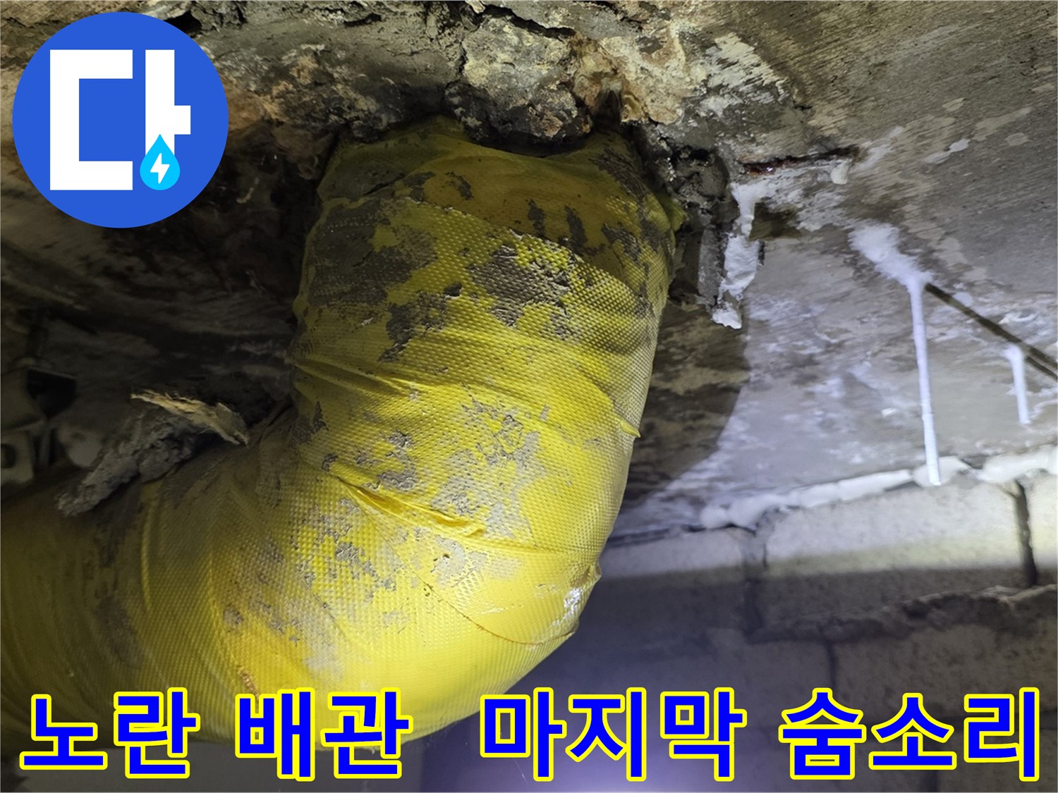 낡은 노란 배관의 마지막 숨소리 - 신사동 천장 누수