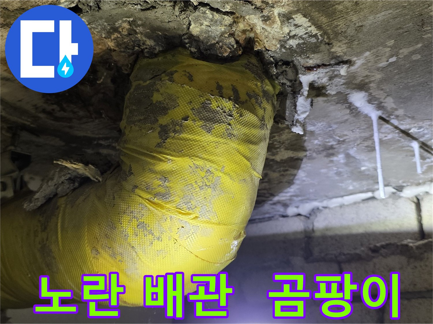 노란 배관의 습격, 곰팡이와 악취 - 신사동 새절역 현대아파트 인근 누수 긴급 해결