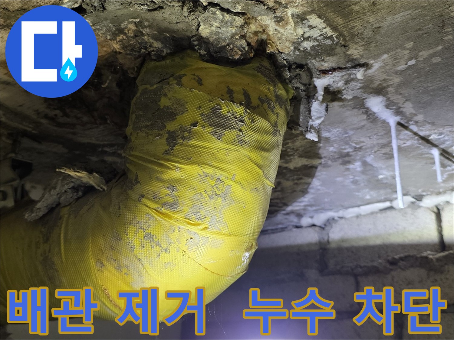 누수 완벽 차단 - 은평구 신사동 누수, 낡은 노란 배관 OUT, 곰팡이 완전 섬멸