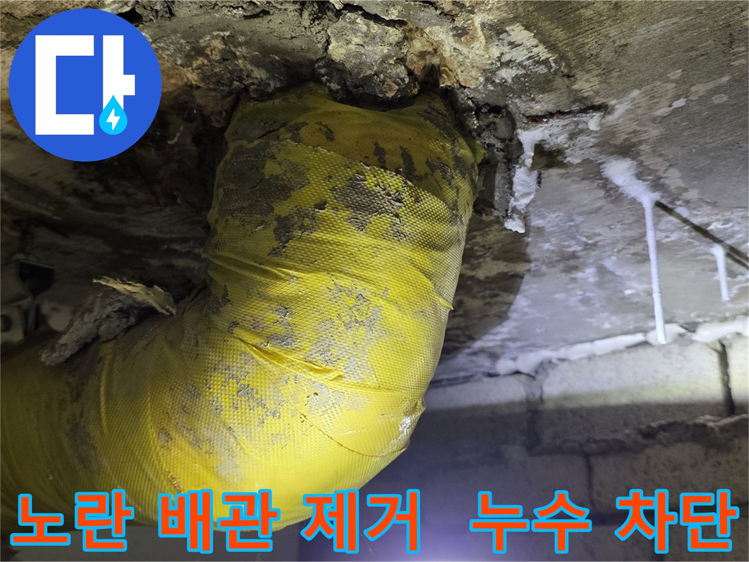 누수 완벽 차단 - 은평구 신사동 누수, 낡은 노란 배관 OUT, 곰팡이 완전 퇴치