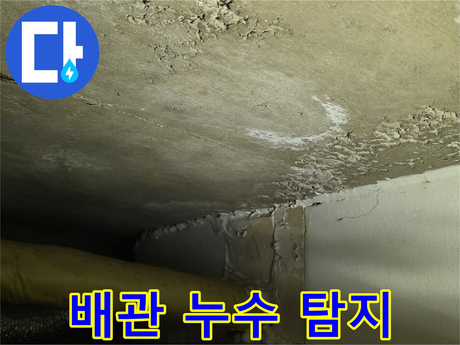 배관 누수 탐지 - 최첨단 장비 - 정확한 위치 파악
