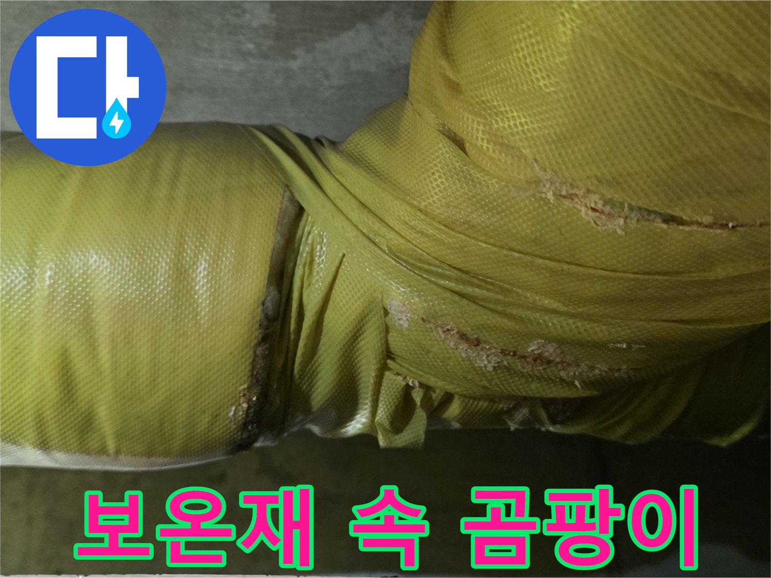 배관 보온재 속 곰팡이 - 곰팡이 냄새의 주범, 누수와 함께 건강을 위협합니다.