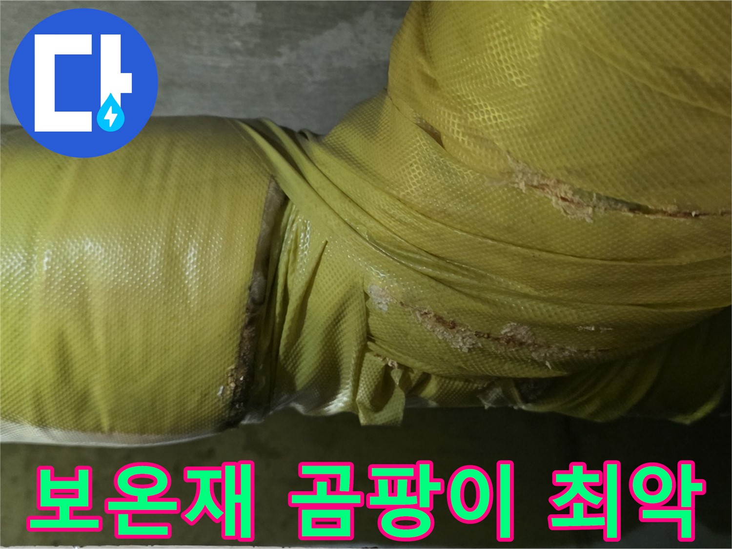 보온재 속 곰팡이 - 실내 공기 질 최악, 건강 위협, 전문적인 케어가 필요합니다.