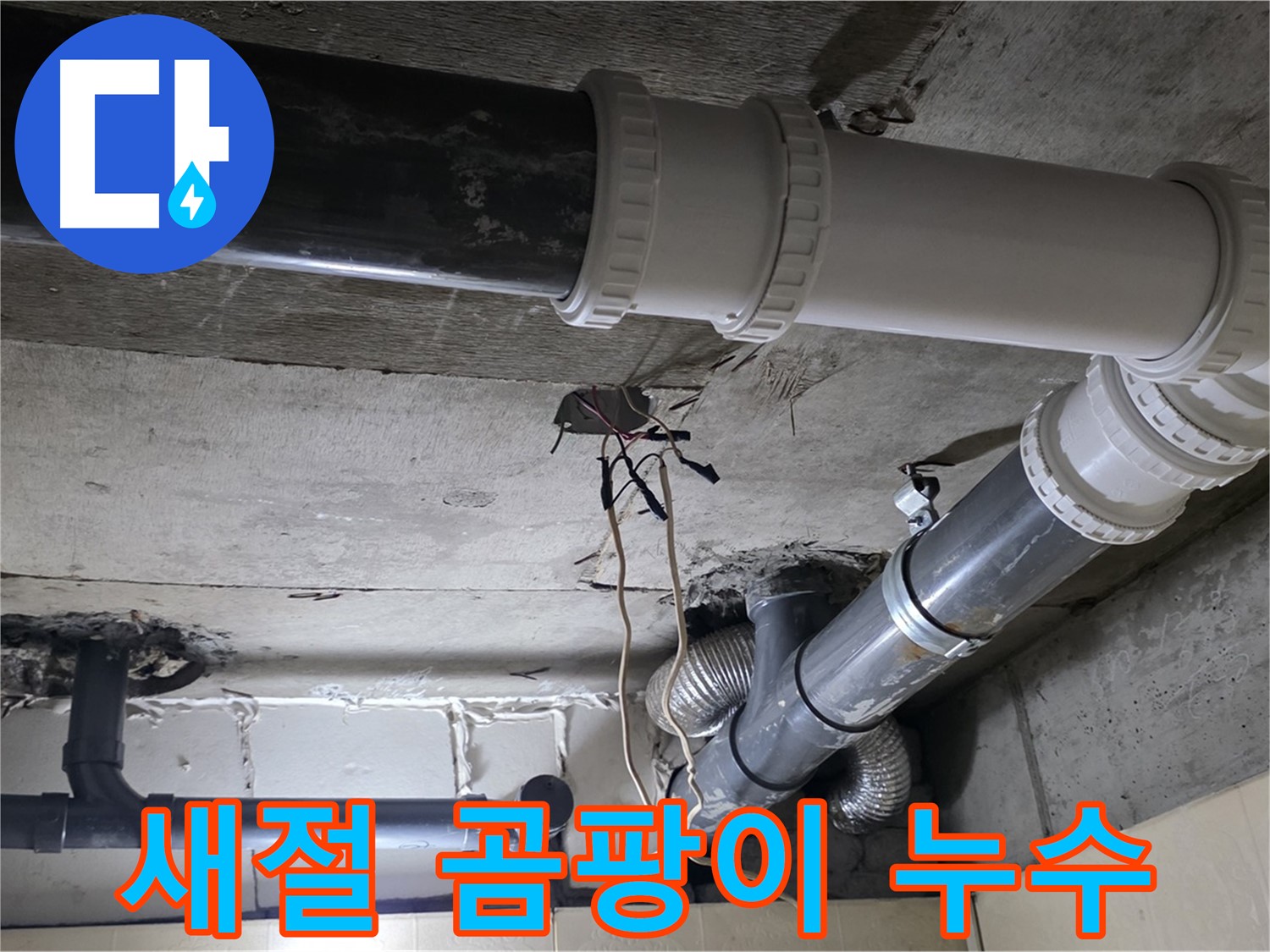 새절 곰팡이 냄새 - 누수부터 잡아야 곰팡이 문제 해결!
