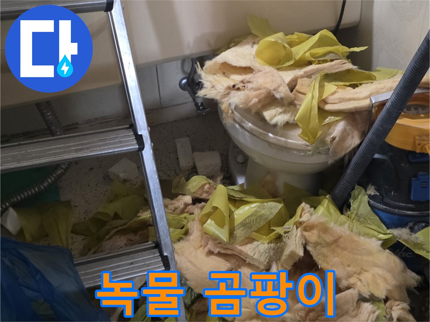새절 누수 현장 - 녹물과 곰팡이로 오염된 배관 - 수질 오염과 건강 위협