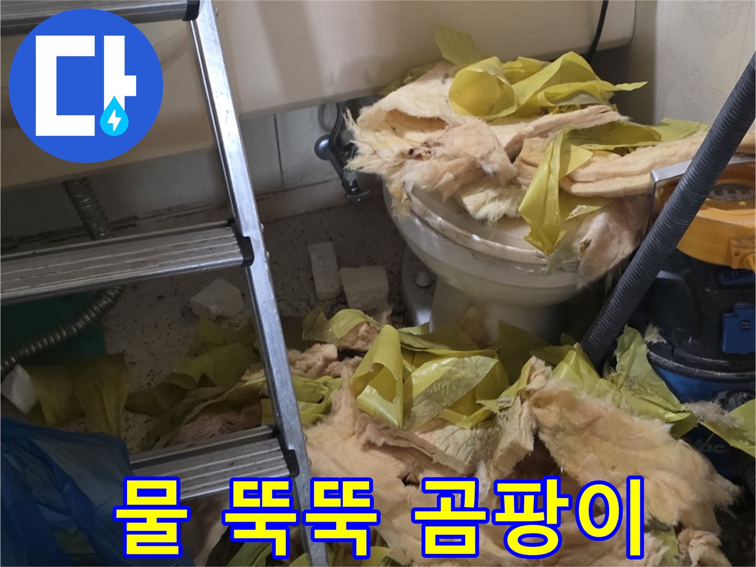 새절 누수 현장 - 물이 뚝뚝 떨어지는 배관 - 곰팡이 냄새 - 곰팡이 번식 위험