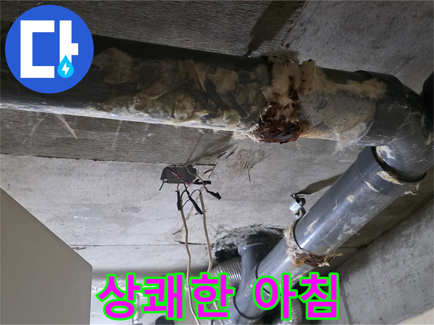 새절역 누수 - 오수 배관 부식과 곰팡이 냄새 제거 - 상쾌한 아침