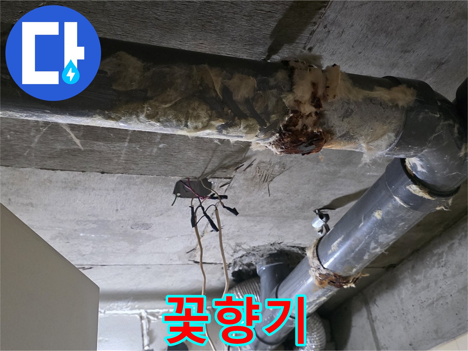 새절역 누수 - 오수 배관 부식과 곰팡이 냄새 제거 - 향긋한 꽃향기