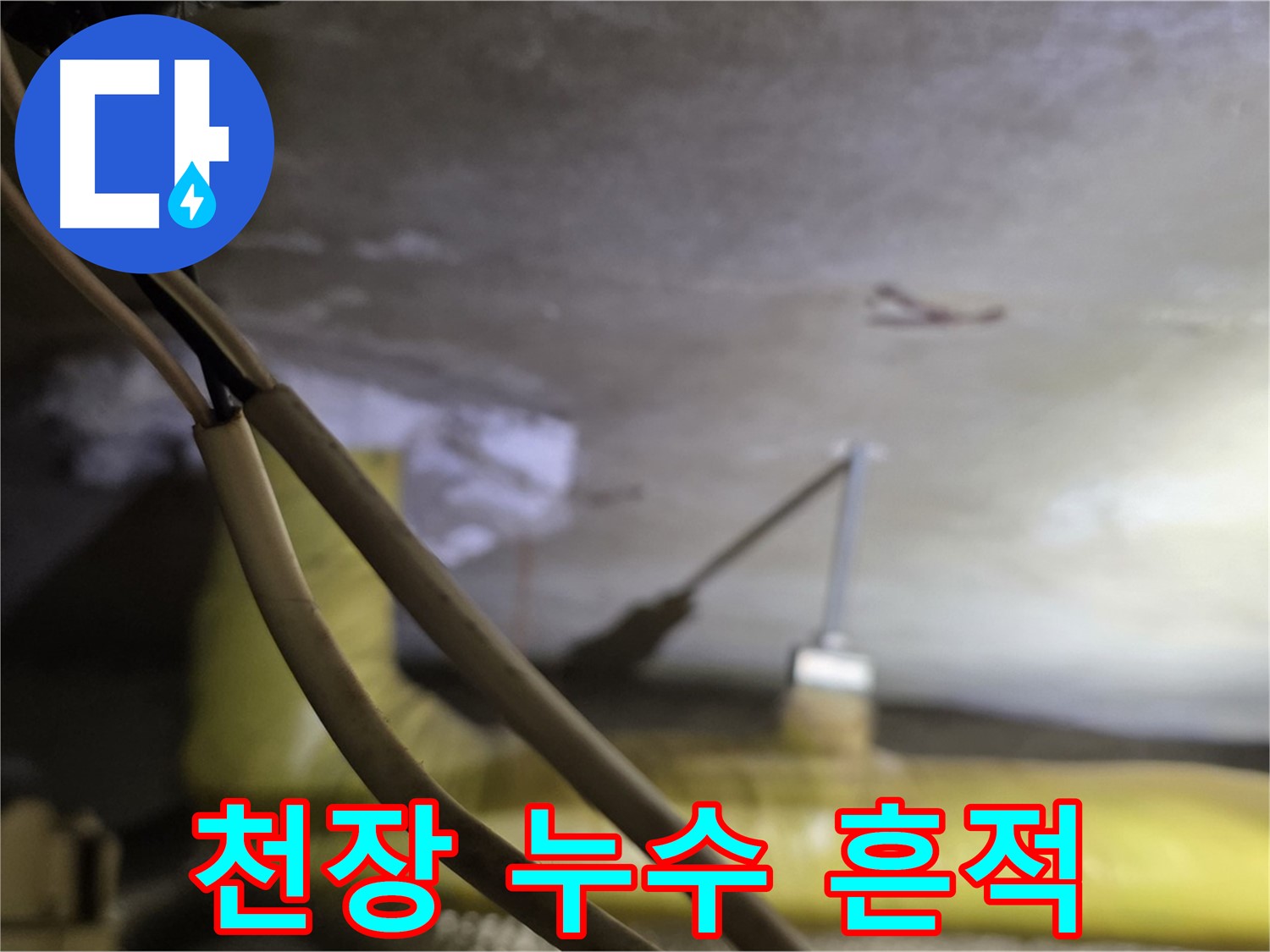 새절역 현대아파트 천장 누수 - 천장에 나타난 누수 흔적 상세 촬영