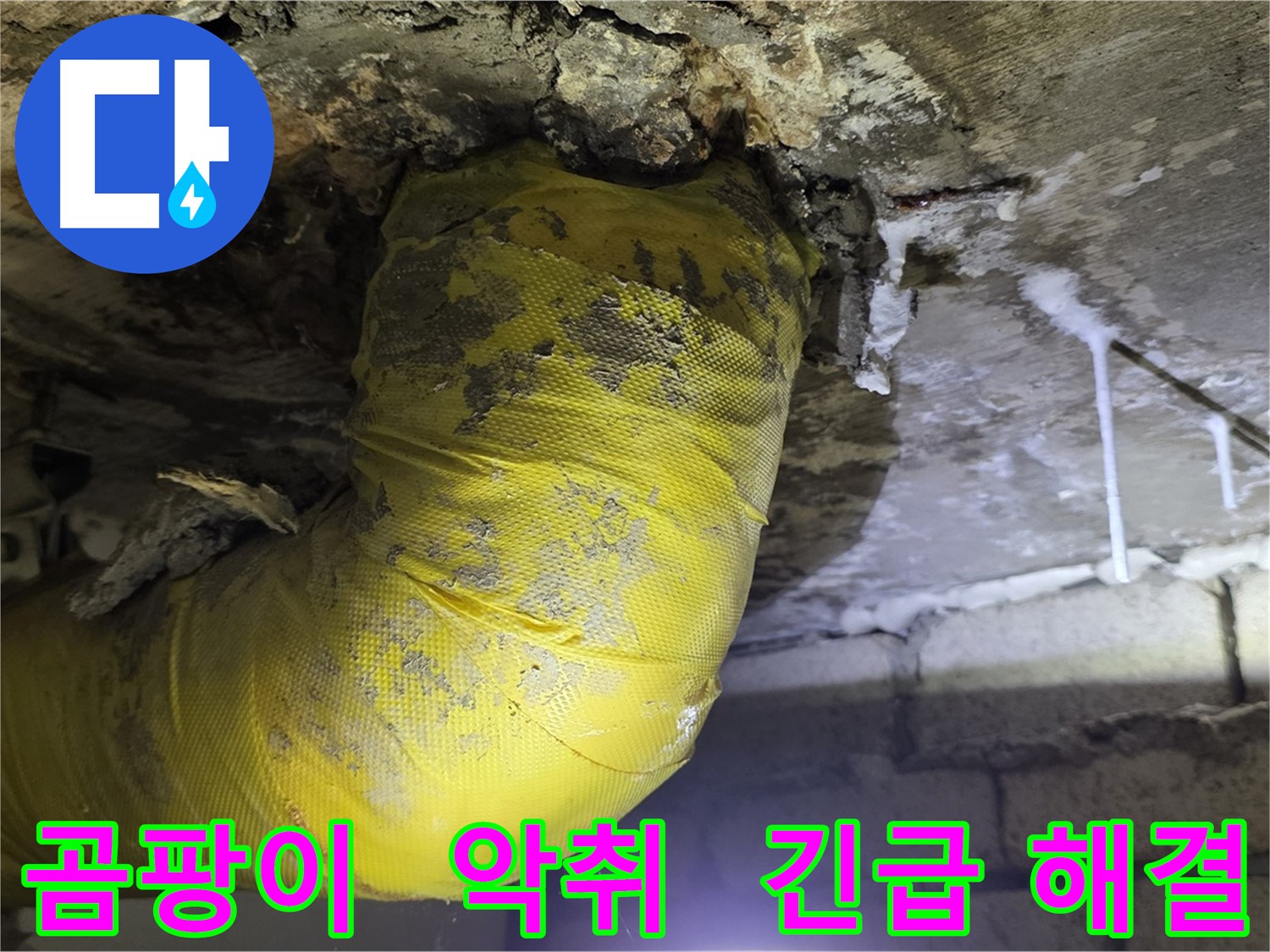 곰팡이와 악취 - 신사동 새절역 인근 누수 긴급 해결
