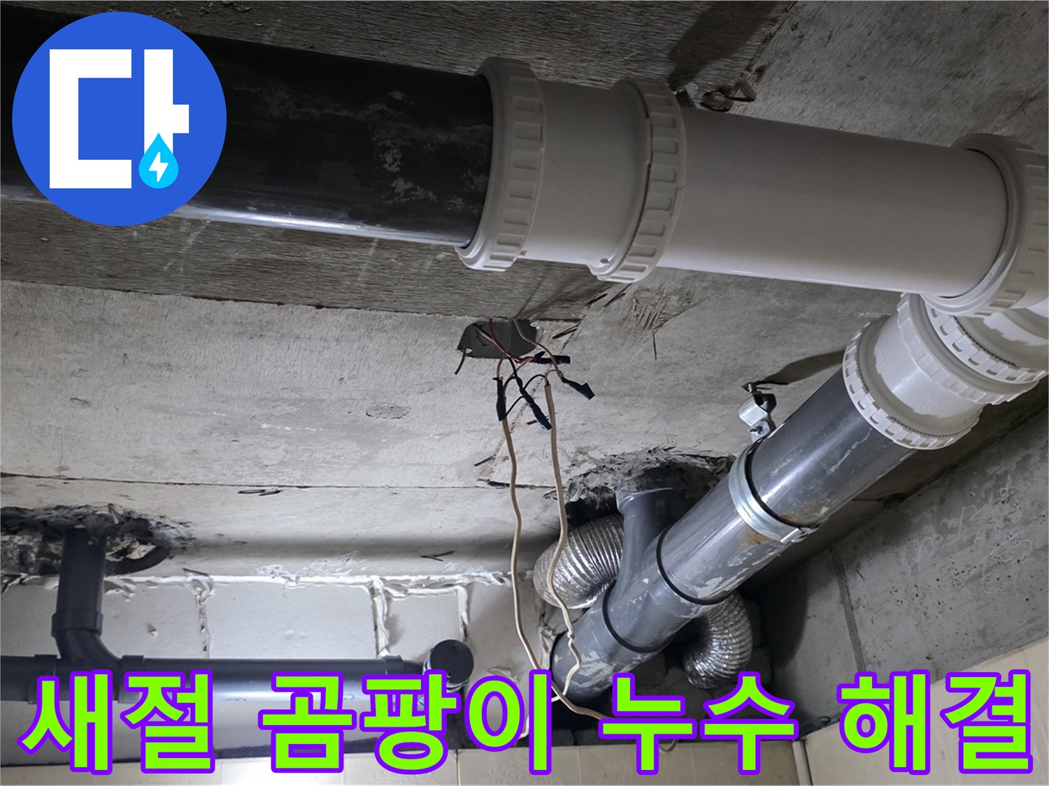 새절 곰팡이 - 누수 문제 해결이 먼저!