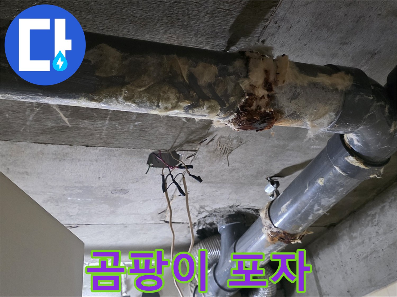 신사동 새절역현대아파트 누수 - 곰팡이 포자가 퍼지는 낡은 오수 배관 보온재 - 곰팡이 확산 방지가 중요합니다
