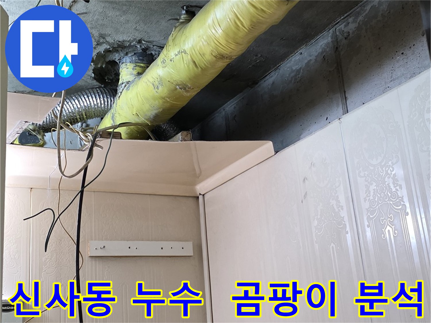 신사동 새절역현대아파트 누수 - 배관 주변 곰팡이 발생 원인을 상세하게 분석
