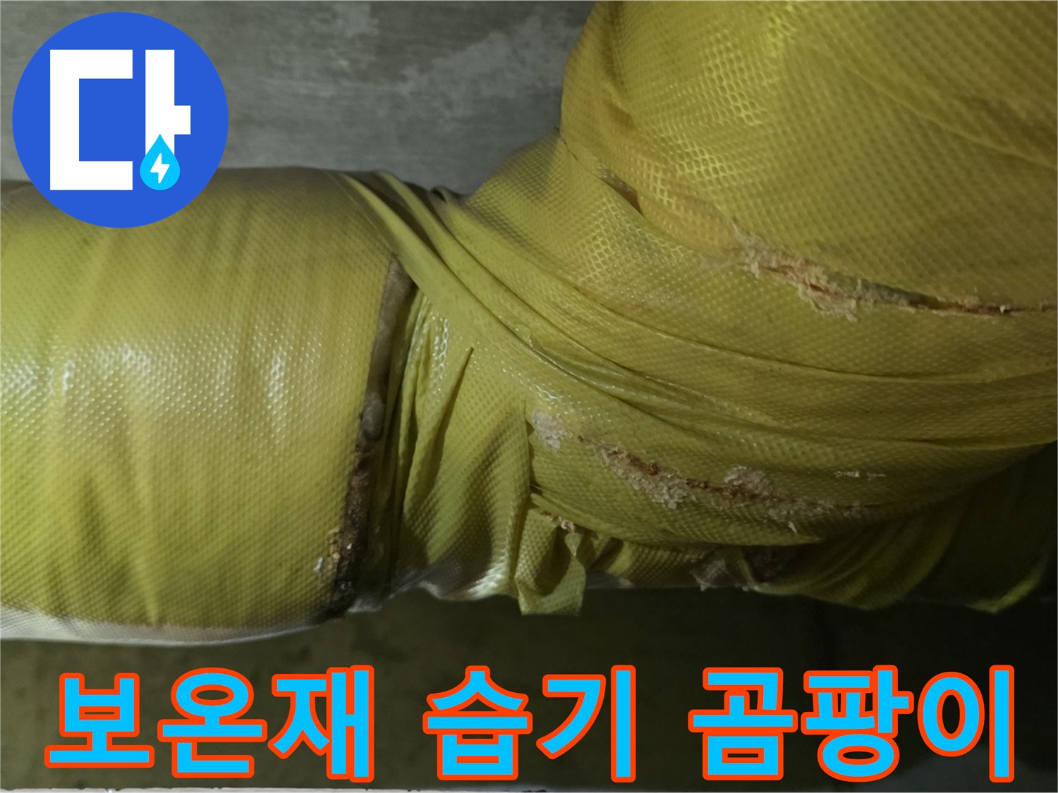 보온재 속 습기 - 곰팡이 서식, 건강 위협 요인
