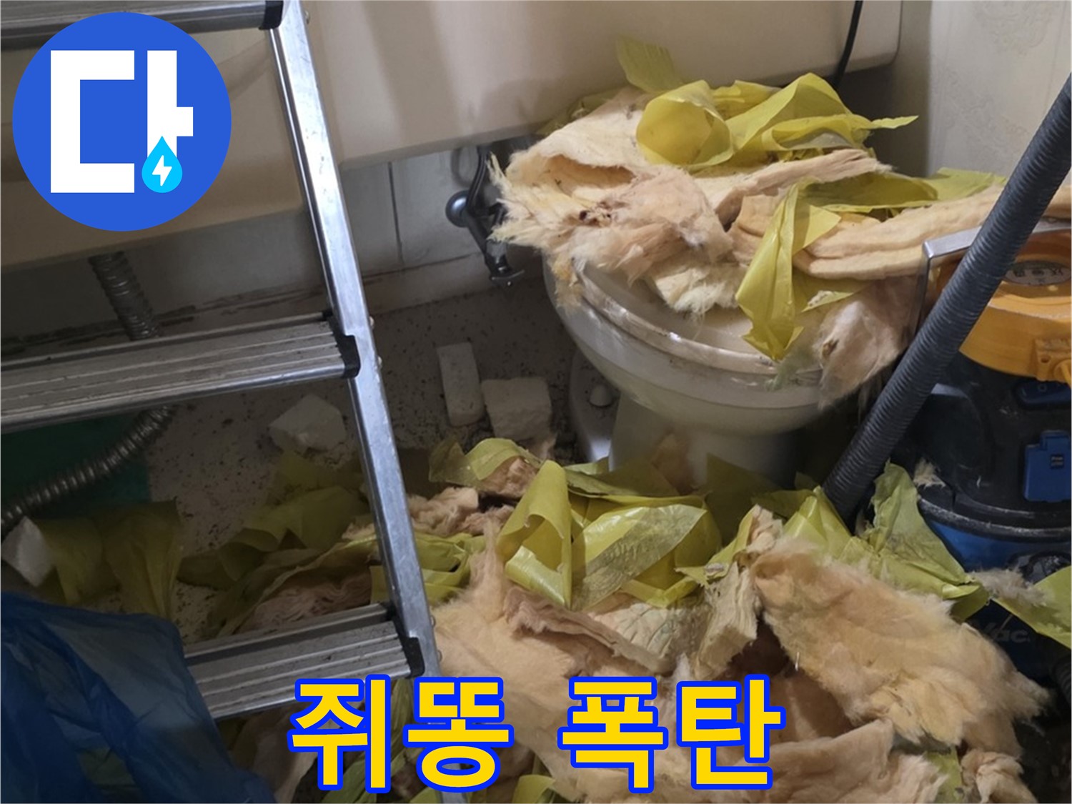 은평구 신사동 누수 - 낡은 보온재 속 쥐똥, 비위생 - 긴급 청소
