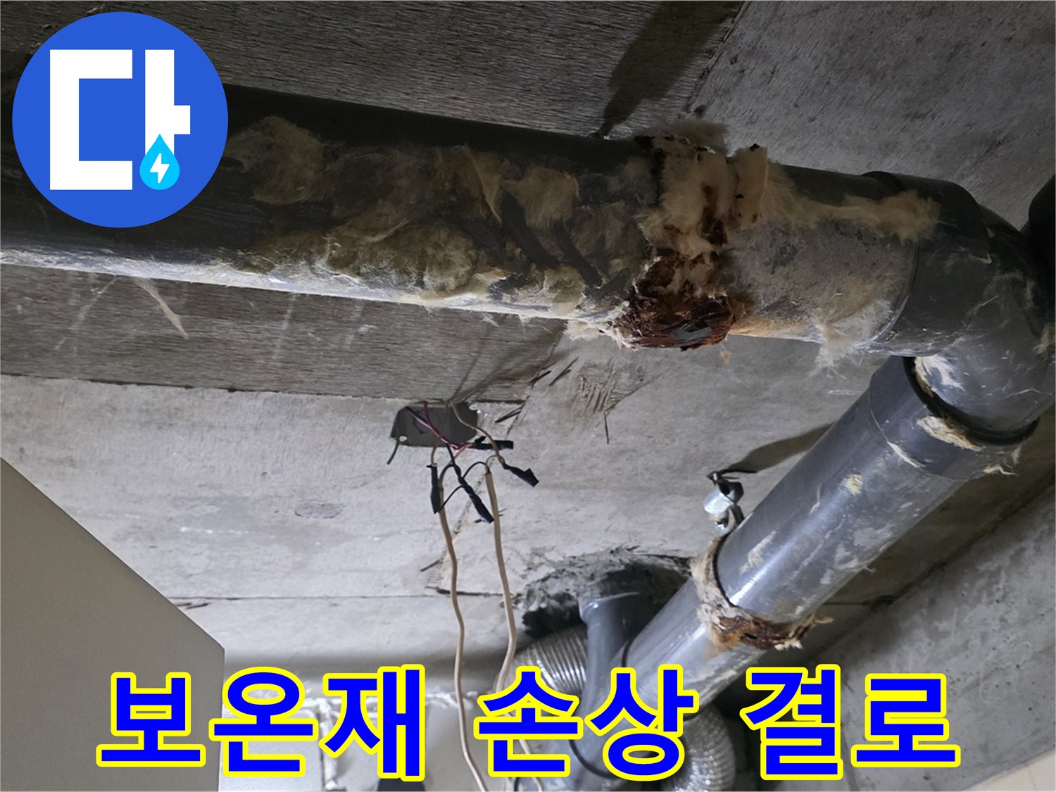 은평구 신사동 누수 - 오수 배관 보온재 손상으로 결로 발생