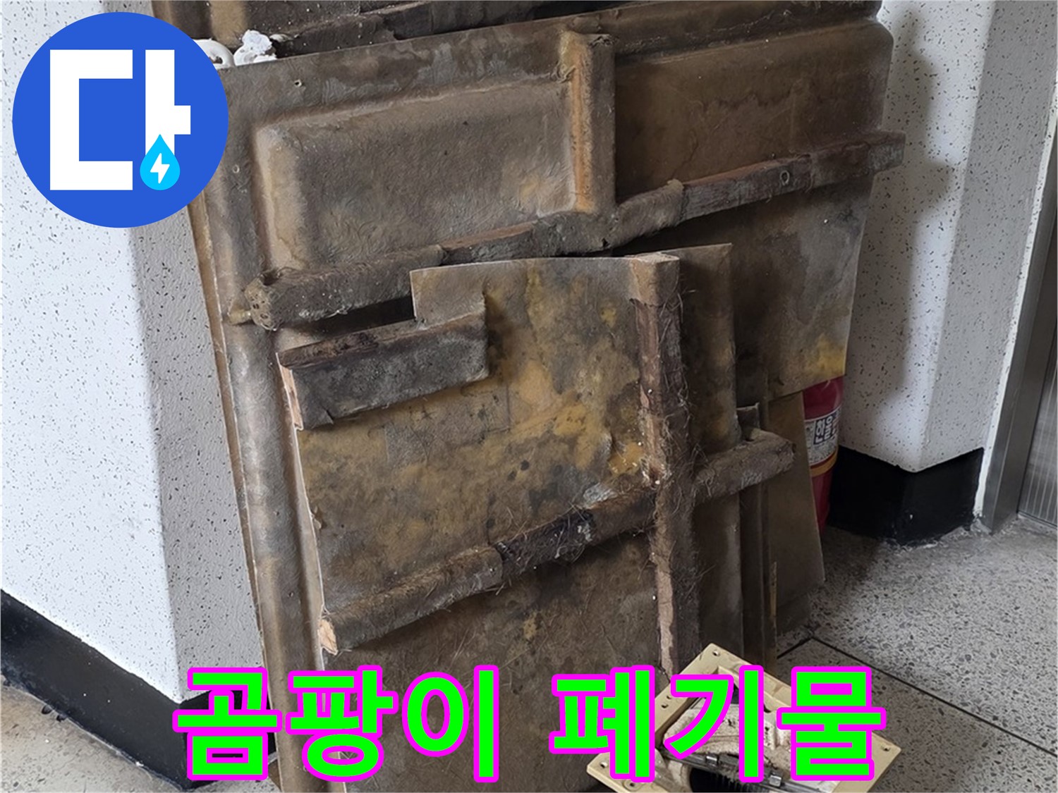 폐기될 석고보드와 조명 - 곰팡이 슨 폐기물
